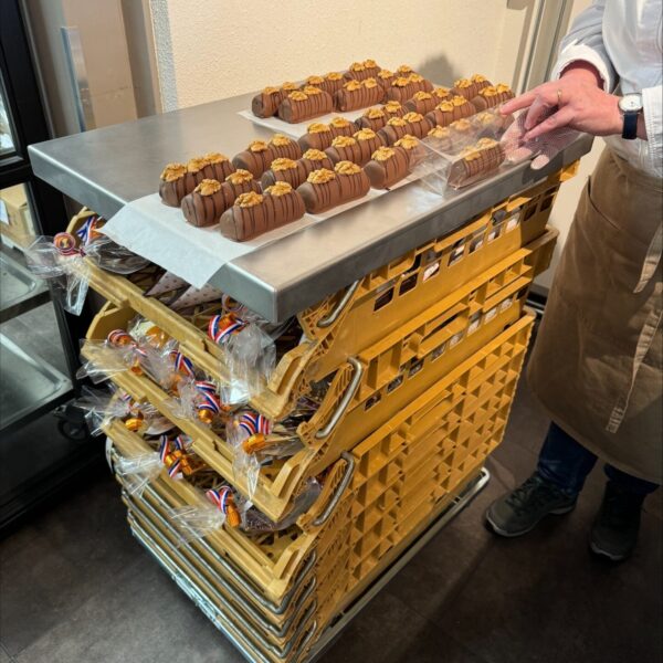 RVS Proban werkblad